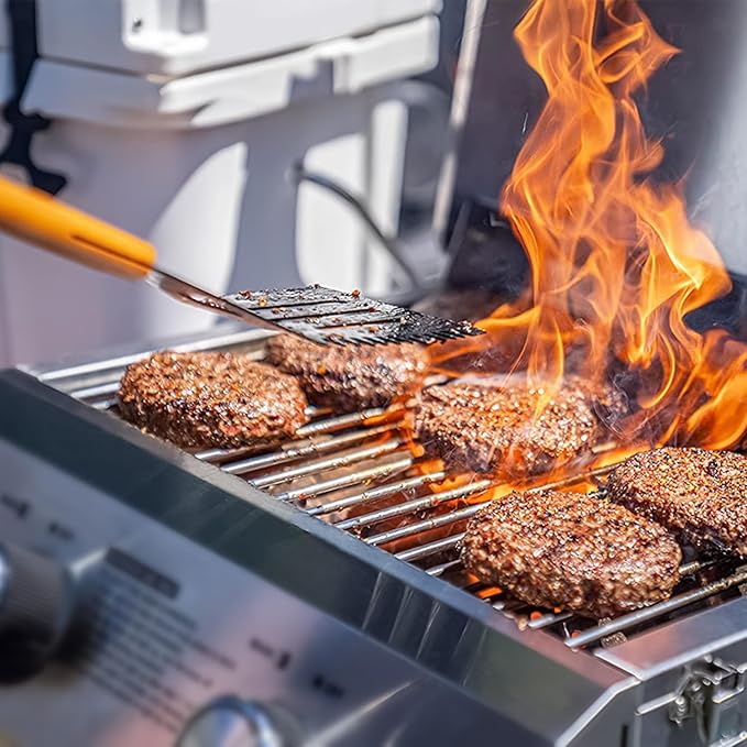 Monument Portable Tabletop Propane Gas Grill Stainless Steel Camping Cooker Outdoor